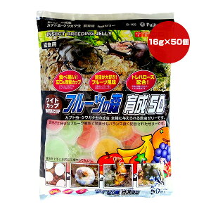 ChJbv t[c̐X 琬50 16g×50 tWR a ybg t[h  Jug NK^ p L ^ B-165