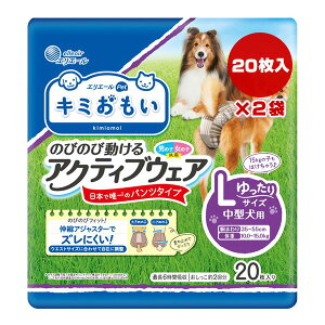 GG[ L~ ̂т̂ѓANeBuEFA LTCY ^p 20×2 剤 a ybg ObY  hbO pc^Cv