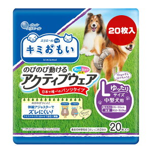 GG[ L~ ̂т̂ѓANeBuEFA LTCY ^p 20 剤 a ybg ObY  hbO pc^Cv