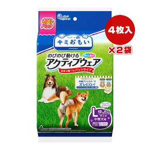 GG[ L~ ̂т̂ѓANeBuEFA LTCY ^p pbN 4×2 剤 a ybg ObY  hbO pc^Cv