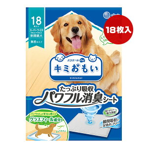 GG[ L~ Ղz ptLV[g X[p[Ch 18 剤 a ybg ObY  hbO gC ^Cv