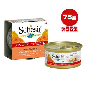 VVA Lbg ci with ppC 75g×56 t@^W[[h w ybg t[h L Lbg EFbg Y F Schesir 