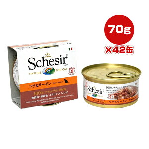 VVA Lbg ciT[ 70g×42 t@^W[[h w ybg t[h L Lbg EFbg Y F Schesir 