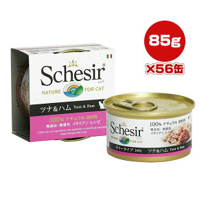 VVA Lbg cin 85g×56 t@^W[[h w ybg t[h L Lbg EFbg Y F Schesir 