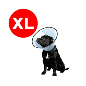 GUxXJ[ VETJ[ XL t@^W[[ha ybg hbO ObY