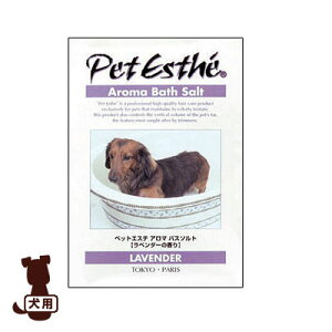 ybgGXe A}oX\g x_[̍ j`hE g ybg hbO ObY {fBPA