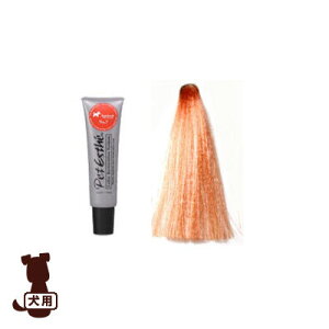 ybgGXe J[Xg[VVXeNo.7 AvRbg 140g j`hE g ybg hbO ObY {fBPA