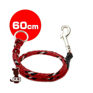 EZYDOG C[W[hbO GNXeV 60cm bh V g ybg ObY  hbO ANZT[ [h R