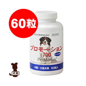 v[V 700 60  b ybg t[h  hbO Tvg