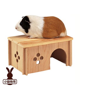 ferplast t@[vXg SIN 4645 EbhnEX t@^W[[h w ybg ObY 