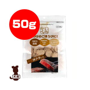 ʂ _ˋ 50g A^ a ybg t[h  hbO 