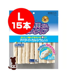 S̎pK uXNA Ap^CgJVE L 15{ }J a ybg t[h  hbO 