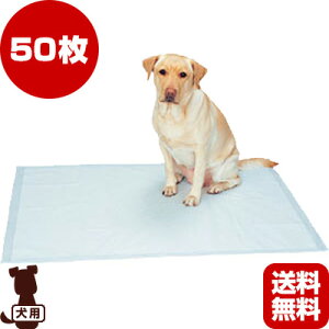 E JANP Ɩp 唻V[c 50 Wv g ybg ObY  hbO gC