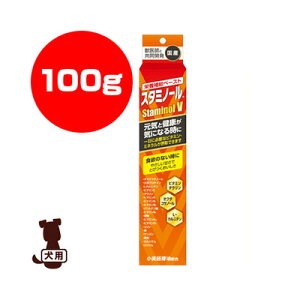 X^~m[V 100g A[Xybg a ybg t[h  hbO h{⋋