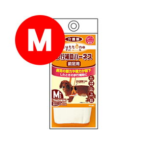 Ƃ Vp s⏕n[lX Op M yeBIa ybg hbOObY 