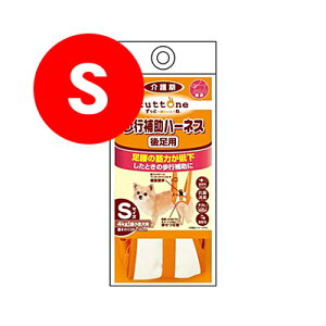 Ƃ Vp s⏕n[lX 㑫p S yeBIa ybg hbOObY 