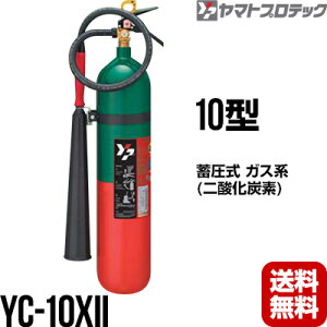 y2025N\񏤕izΊ YC-10XII 10^ _Yf Ɩp }gvebN  s