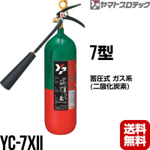 y2025N\񏤕izΊ YC-7XII 7^ _Yf }gvebN  s