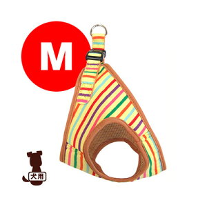 XgCv\tgn[lX M }`CG[ 쐻쏊 a ybg ObY  hbO ANZT[ 