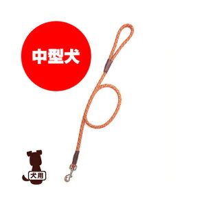 }Ee[h #9 IW 쐻쏊 g ybg ObY  hbO ANZT[ R ^