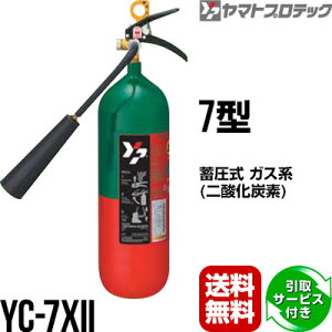 y2025N\񏤕izΊ T[rXt YC-7XII 7^ _Yf Ɩp }gvebN  s    