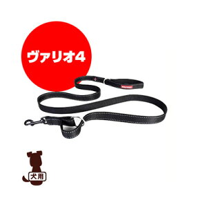 EZYDOG C[W[hbO @I4 ubN V g ybg ObY  hbO ANZT[ [h R