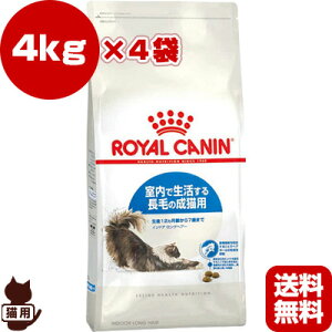 FHN インドア ロングヘアー 4kg×4袋 ロイヤルカナン▼g ペット フード キャット 猫 成猫 アダルト 室内 長毛 フィーラインヘルスニュートリション送料無料