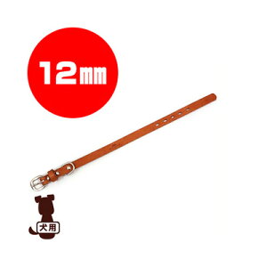 RR[coloco] J[ Ȗ؃U[ CguE 12mm tby b ybg ObY  hbO ANZT[ 