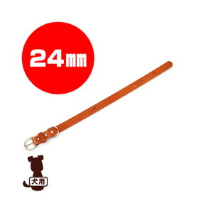 RR[coloco] J[ Ȗ؃U[ CguE 10mm tby b ybg ObY  hbO ANZT[ 