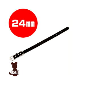 RR[coloco] J[ Ȗ؃U[ ubN 24mm tby b ybg ObY  hbO ANZT[ 