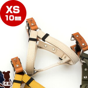 RR[colocoKURASHIKI] Ȗ؃U[×q~z n[lX XS 10mm Li tby b ybg ObY  hbO ANZT[ 