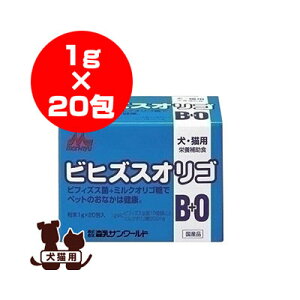 bN rqYXIS 1g×20 XT[h g ybg t[h  hbO L Lbg wXT|[g