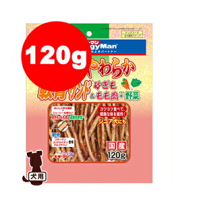 a{炩Th120g hM[}a ybg hbO  hbOt[h 