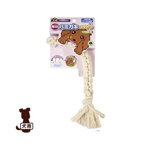 n~KLRbgXeBbNS hM[}a ybg hbO  ObY  f^PA