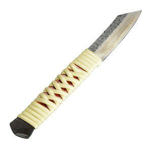  aiCt Œ莮   [ p^ ] ̎ Ђ̂ i쏊 aiCt YiCt AEghAiCt  {b n { Yn an ChCW