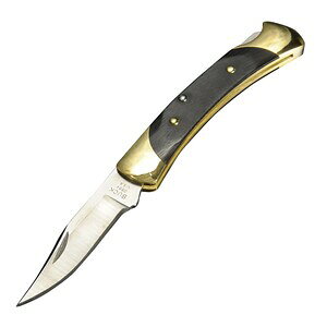 BUCK 折りたたみナイフ The55 フォールディングハンター Folding Hunter Lockback ロックバック バックナイヴズ バックナイフ 折り畳みナイフ フォルダー フォールディングナイフ ホールディングナイ