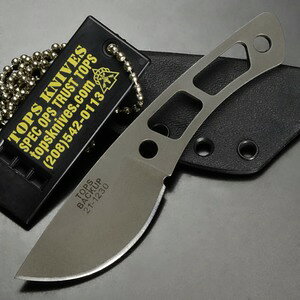 TOPS AEghAiCt Backup XPg ^ V[X/zCbXt TPTBKP01 ^iCt n LviCt kiCt O Lv