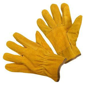 LvO[u Ǝ V[g ϔM v nڎ Ɨp [NO[u U[O[u v ~^[O[u Rp [J[O[u ƗpO[u ی 