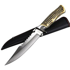 {ECiCt |AZ^[ pfUC \[obN ^iCt ToCoiCt iCt RobgiCt ubVNtgiCt neBOiCt {[CiCt u[CiC