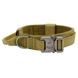 p iC NCbN[XobNt [ R[e^ / MTCY ] ybgp ybgpi nht ~^[ ^NeBJ ybg J[ hbOlbNJ[ 