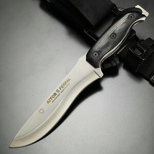 AITOR AEghAiCt FERFAL XLi[/ToCoLbgt 16099 ACg[ XLi[ ToCoLbg t@[t@ O Lv