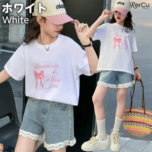 K[Y ZbgAbv ㉺Zbg LbY TVc fj V[gpc  n[g tX[u EGXgS  K[[  y R[f  Vђ ʉ ʊw ĕ 