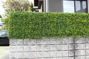 AO[tFX {bNXEbh tFCNO[ ډBtFX oht sv 1m×1m  x_ oRj[  K[f TAN-748