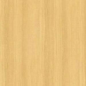 JbeCOV[g _CmbNV[g ؖڒ 3M X[G JbeBOV[g FW-1256 FW1256 _CmbNtB