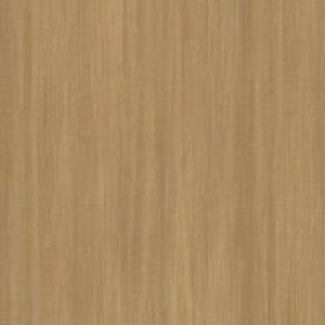 JbeCOV[g _CmbNV[g ؖڒ 3M X[G JbeBOV[g FW-1273 FW1273 _CmbNtB