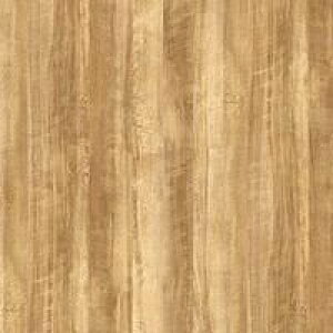 JbeBOV[g _CmbNV[g ؖڒ 3M X[G JbeBOV[g FW-1296 FW1296 _CmbNtB