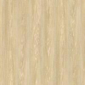 JbeCOV[g _CmbNV[g ؖڒ 3M X[G JbeBOV[g FW-1766 FW1766 _CmbNtB