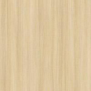 JbeBOV[g _CmbNV[g ؖڒ 3M X[G JbeBOV[g WG-1141 WG1141 _CmbNtB