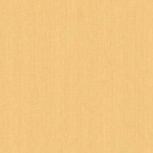 JbeBOV[g _CmbNV[g ؖڒ 3M X[G JbeBOV[g WG-1221 WG1221 _CmbNtB