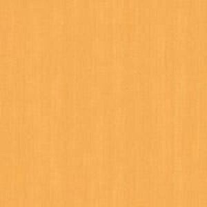 JbeBOV[g _CmbNV[g ؖڒ 3M X[G JbeBOV[g WG-2244 WG2244 _CmbNtB